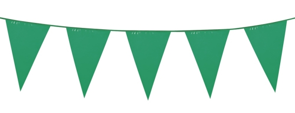 Party-Extra Standard Wimpelkette grün