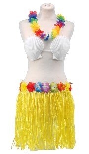 Hawaii-Kostüm-Set mit Rock, BH und Hawaiikette