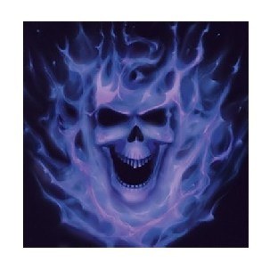 Mini-Cocktailservietten Phantom der Nacht, 16er Pack