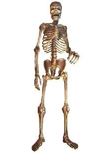 Party-Extra Dekofolie Mr. Bones, 210 cm
